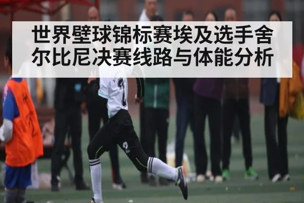 世界壁球锦标赛埃及选手舍尔比尼决赛线路与体能分析